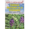Cultura lucernei si a trifoiului